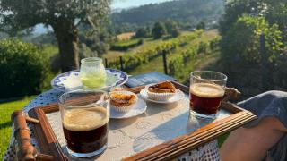 Brunch au vignoble : petit-déjeuner gourmand entre les vignes