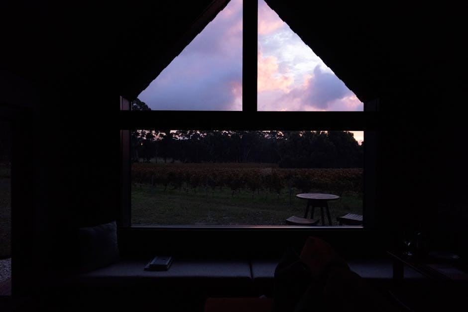 Coucher de soleil dans les vignes : apéro sunset face aux ceps