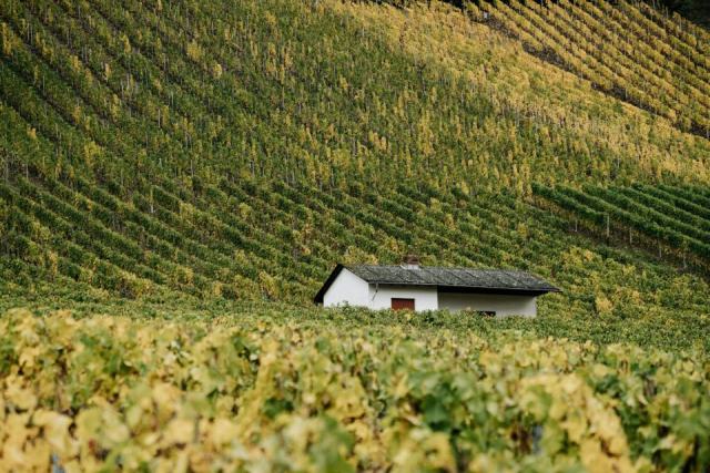 Dormir au domaine : quand le vigneron ouvre sa porte et ses bouteilles Dormir au domaine : quand le vigneron ouvre sa porte et ses bouteilles