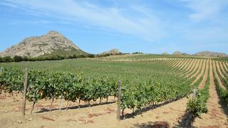 Où dormir dans un vignoble corse, du Cap à Figari