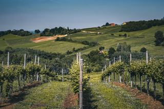 Dormir dans le vignoble de Gaillac, entre Tarn et bastides
