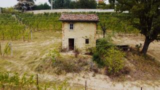 Eco-lodge dans un vignoble : séjour écologique entre les vignes bio