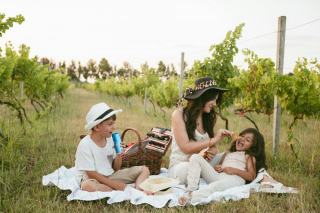 Séjour en famille au vignoble : vacances nature entre les ceps