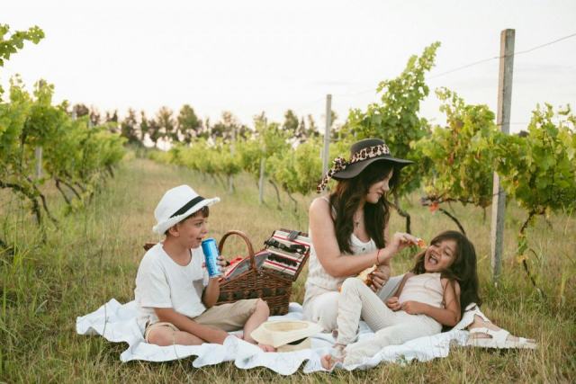 Vignoble en famille : quand les enfants découvrent la vigne et le terroir Vignoble en famille : quand les enfants découvrent la vigne et le terroir