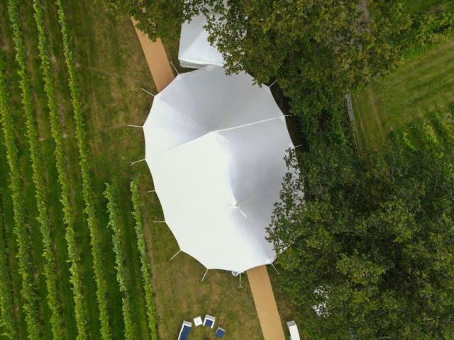 Glamping en vignoble : le luxe du plein air au milieu des ceps