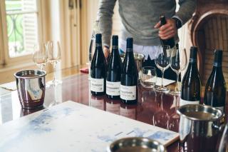 Meilleurs vins à déguster : le guide par région
