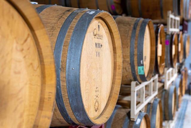 Oenotourisme en France : le guide pour explorer les vignobles autrement