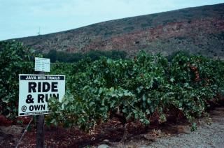 Routes des vins en France : itinéraires et étapes à ne pas rater