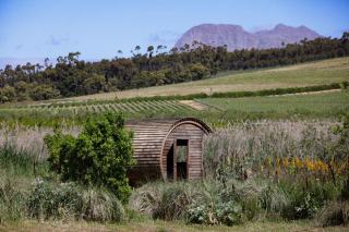 Toilettes sèches en cabane et nuit sans douche dans les vignes
