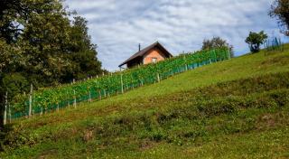 Cabane dans les vignobles de Bourgogne : nuit entre les climats