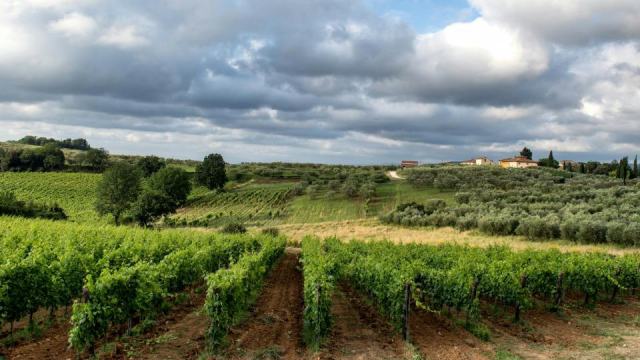 Provence : une cabane entre lavande, garrigue et vignes de rosé