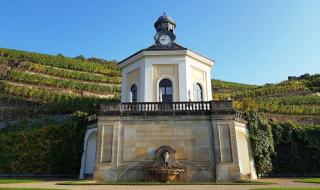 Cabane dans les vignobles de Provence : nuit au soleil du Sud