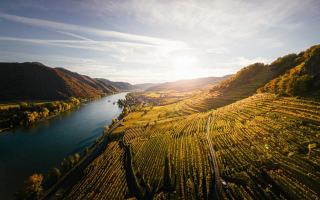 Cabane dans les vignobles du Rhône : syrah, grenache et terrasses