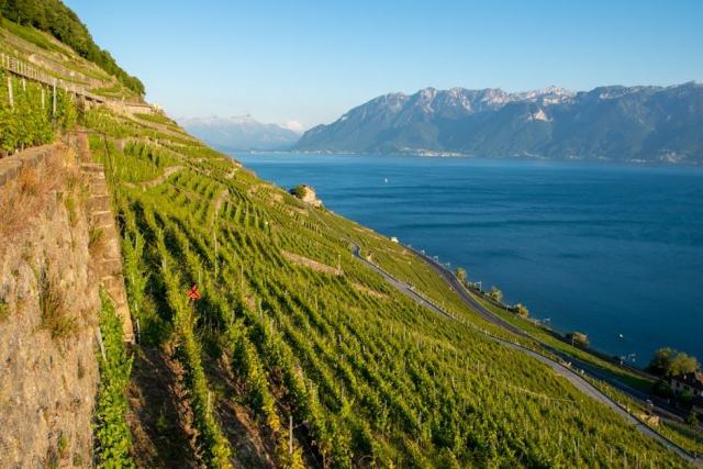 Vallée du Rhône : une cabane entre les terrasses de syrah et de grenache